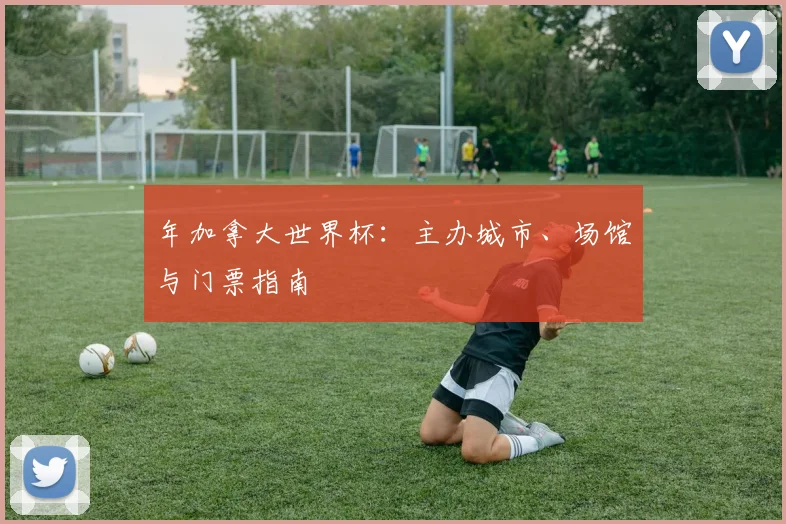 年加拿大世界杯：主办城市、场馆与门票指南