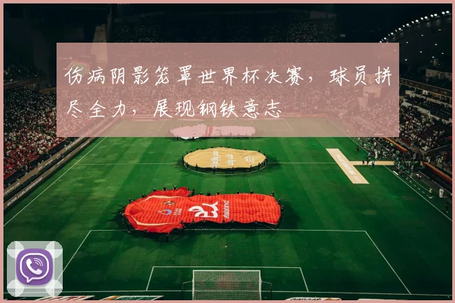 伤病阴影笼罩世界杯决赛,球员拼尽全力,展现钢铁意志