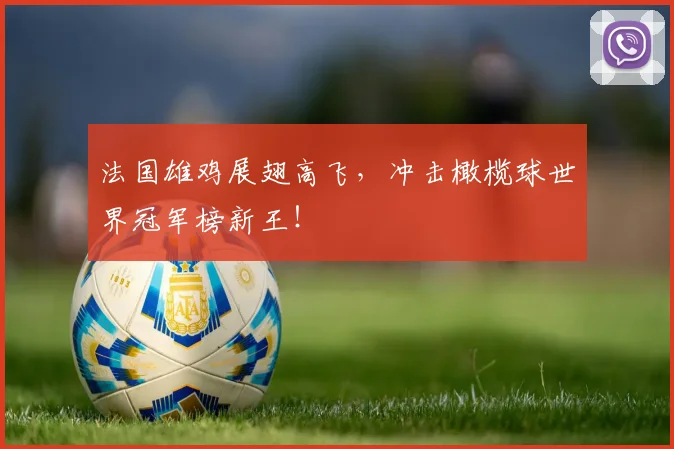 法国雄鸡展翅高飞，冲击橄榄球世界冠军榜新王！
