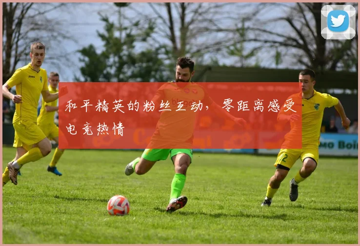 和平精英的粉丝互动,零距离感受电竞热情
